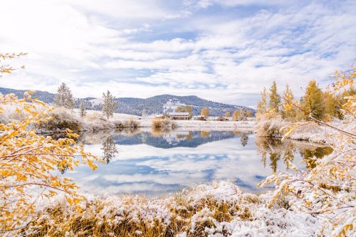 A serene winter landscape with a snowy lake, surrounded by trees with golden leaves and a cloudy blue sky.