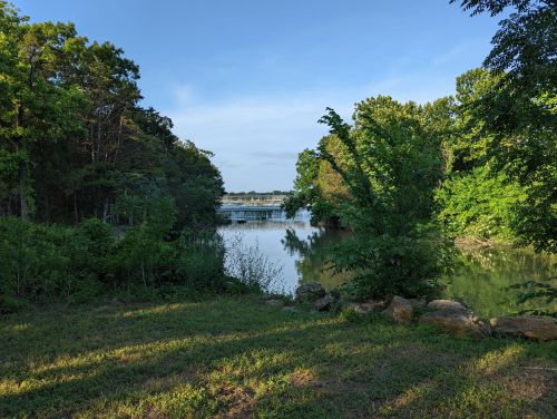 A serene view of a calm lake surrounded by lush greenery and trees under a clear blue sky.