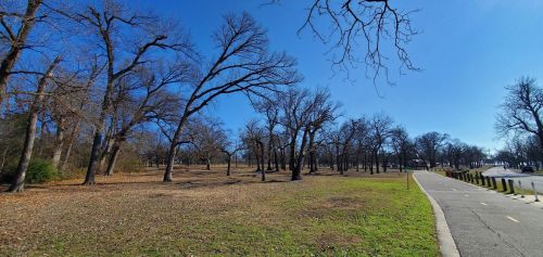 A wide view of a park with bare trees, green grass, and a paved path under a clear blue sky.