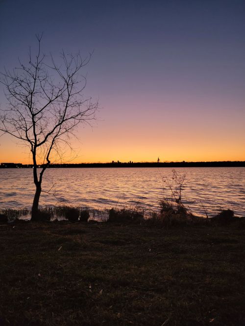 Silhouette of a tree by a calm lake at sunset, with a gradient sky transitioning from orange to deep blue.