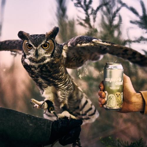 A majestic owl in flight, reaching for a hand holding a can labeled "superb owl" amidst greenery.