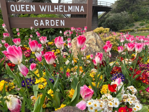 Colorful tulips and flowers bloom in front of a sign that reads "Queen Wilhelmina Garden."