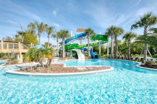 A vibrant pool area featuring a large green water slide surrounded by palm trees and clear blue water.