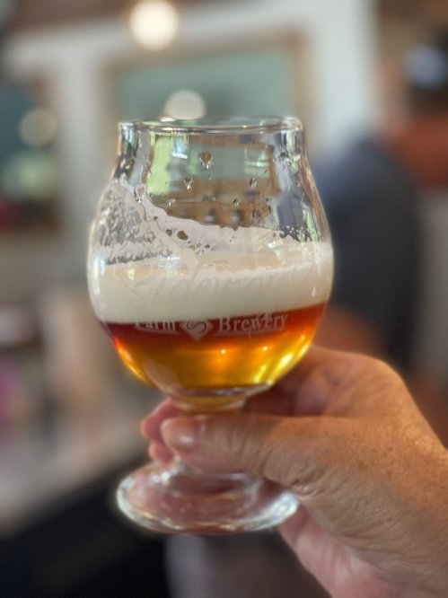 A hand holding a glass of beer with a frothy head, set in a brewery environment.