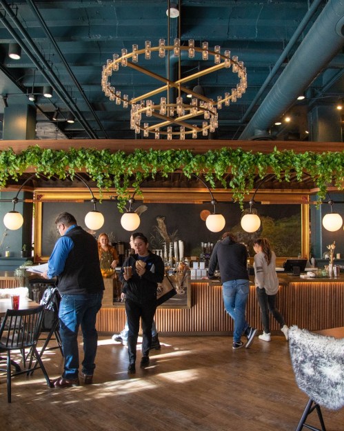A modern café interior with a chandelier, greenery, and people socializing at the counter and tables.