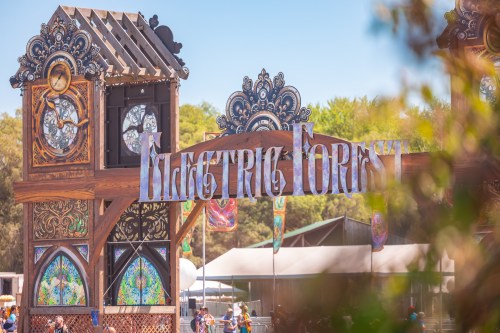 Colorful entrance archway of Electric Forest festival, surrounded by trees and festival-goers enjoying the event.