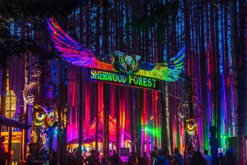 Colorful lights illuminate a forest entrance sign reading "Sherwood Forest," surrounded by tall trees and a festive atmosphere.