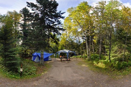 A campsite with a blue tent and a canopy surrounded by trees and greenery on a gravel path.