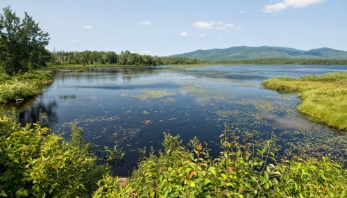 A serene lake surrounded by lush greenery and distant mountains under a clear blue sky.