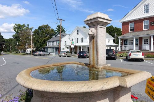 A stone fountain with a cat sculpture, surrounded by a small town street and historic buildings under a blue sky.