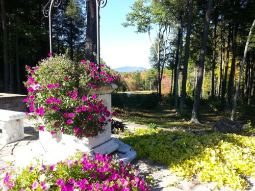A scenic view of a garden with vibrant purple flowers and lush greenery, framed by trees and distant mountains.