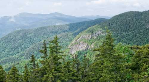 A panoramic view of lush green mountains and dense forests under a cloudy sky.