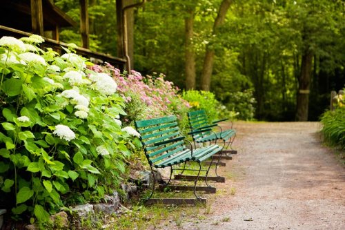 A peaceful garden path lined with green benches and blooming flowers under a canopy of trees.