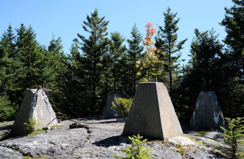 Three concrete structures on rocky ground, surrounded by green trees under a clear blue sky. A small tree grows from one.