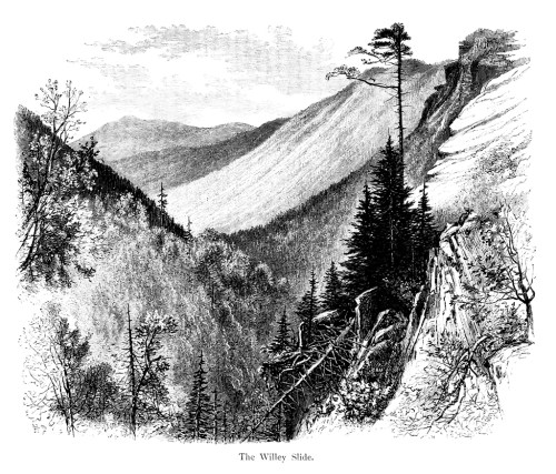 Black and white illustration of the Willey Slide, showcasing a mountainous landscape with trees and steep cliffs.