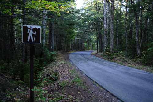 A winding road through a dense forest, with a trail sign visible on the left.