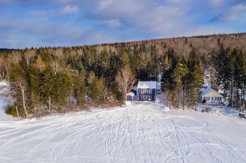 Aerial view of a snowy landscape with two houses surrounded by evergreen trees and a clear blue sky.