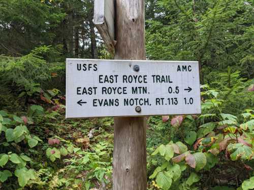 Trail sign indicating directions to East Royce Mountain and Evans Notch, with distances marked in miles.