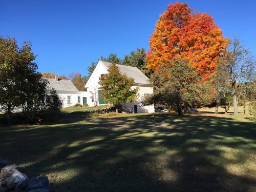 A white house surrounded by trees, with vibrant autumn foliage and a clear blue sky.