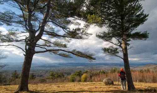 A person stands between two trees, gazing at a scenic landscape of mountains and valleys under a cloudy sky.