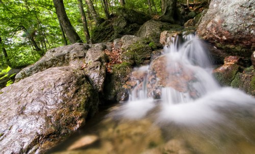 A serene stream flows over smooth rocks, surrounded by lush green trees in a tranquil forest setting.