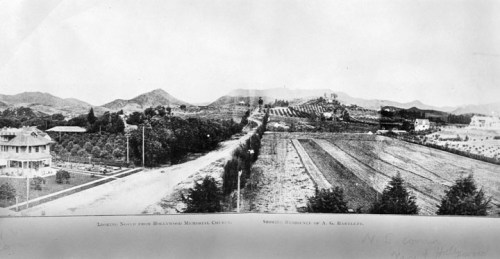 Black and white panoramic view of a landscape with hills, fields, and a road, taken from the Belvedere Memorial Center.