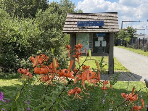 Sign for the William G. O'Neill Bike Path with vibrant orange flowers in the foreground and a sunny sky above.