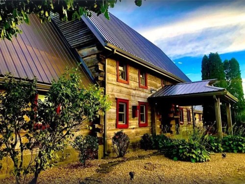 A rustic wooden house with a metal roof, surrounded by greenery and a gravel pathway under a blue sky.
