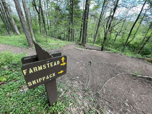 A wooden signpost in a forest, indicating directions to "Farmstead" and "Skippack" with arrows pointing left and right.