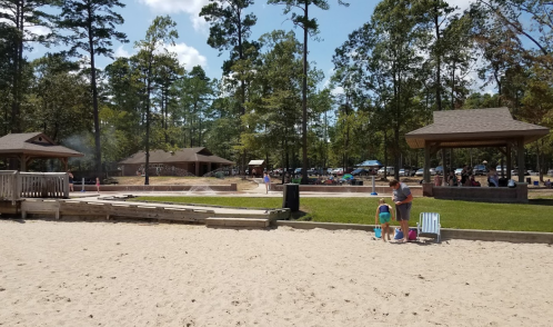 A sandy area with children playing near water features, surrounded by trees and picnic pavilions in the background.