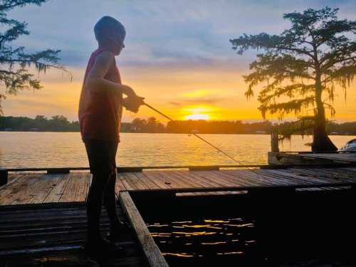 A silhouette of a child fishing at sunset, with trees and water in the background.