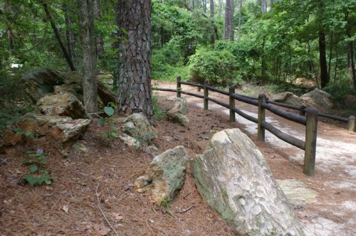 A wooded path with a wooden fence, surrounded by rocks and pine needles, leading through a lush green forest.