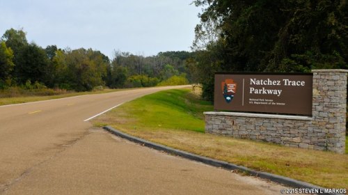 Sign for Natchez Trace Parkway along a winding road, surrounded by trees and grassy areas.
