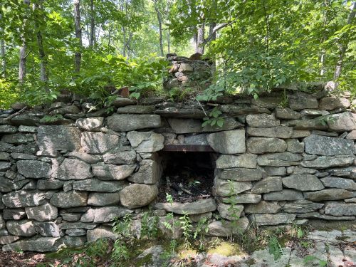 A weathered stone wall with an opening, surrounded by lush green trees and foliage in a forested area.