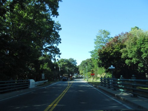 A tree-lined road with a clear blue sky, leading towards a bridge and a sign, surrounded by greenery.