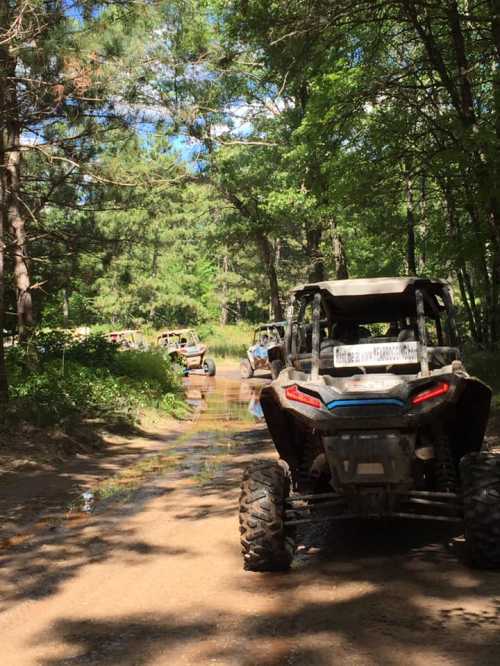 ATVs driving through a wooded area with a muddy path and trees in the background on a sunny day.