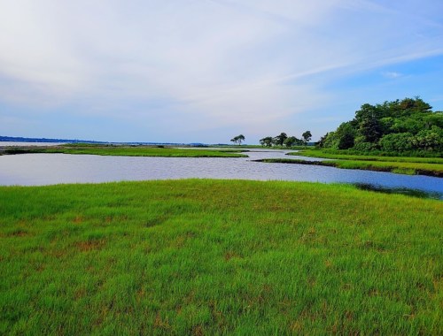 Lush green marshland with a winding river under a blue sky, surrounded by trees and distant hills.