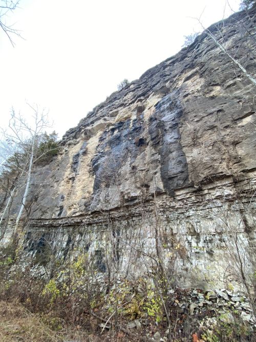 A rocky cliff face with layered stone, surrounded by sparse trees and underbrush under a cloudy sky.