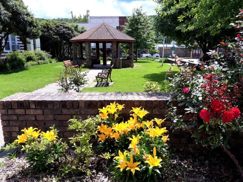 A sunny park scene featuring a gazebo, benches, and vibrant yellow flowers in bloom.