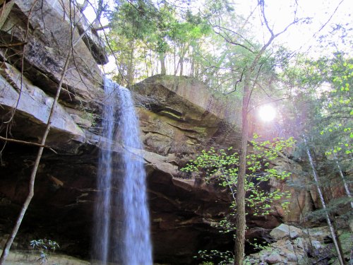 A serene waterfall cascades over rocky cliffs, surrounded by lush green trees and dappled sunlight filtering through.