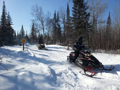 Two snowmobiles ride through a snowy forest trail, surrounded by tall trees and clear blue skies.