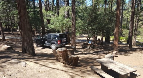 A parked SUV in a forested area with picnic tables and logs, surrounded by tall trees and greenery.