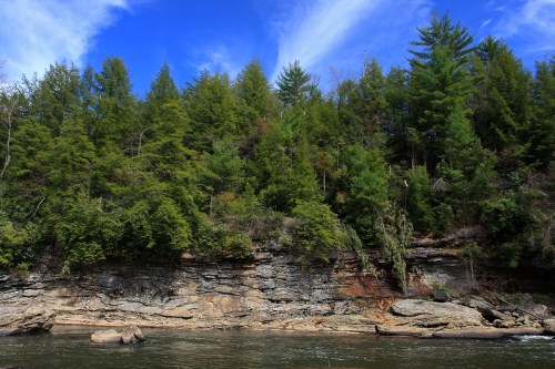 Lush green trees line a rocky riverbank under a bright blue sky with scattered clouds.