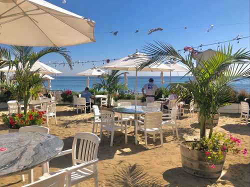 A beachside café with white tables and chairs, umbrellas, and palm trees, overlooking the ocean on a sunny day.