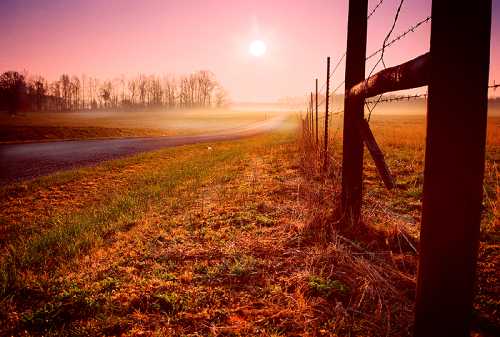 A serene landscape at sunrise, featuring a gravel road, a barbed wire fence, and misty fields under a pink sky.