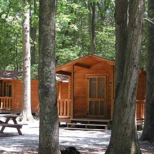 Two wooden cabins nestled among tall trees in a forested area, with a picnic table in the foreground.