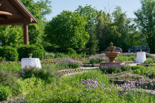 A serene garden with blooming flowers, a fountain, and tables set for an outdoor event under clear blue skies.