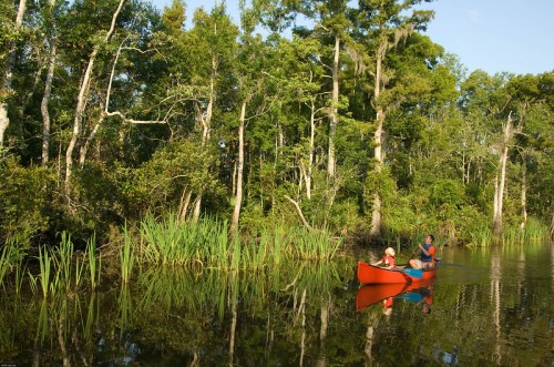 A person and a child paddle a bright orange canoe through a calm, green forested waterway.