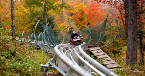 A child rides a mountain coaster through colorful autumn trees on a winding track.