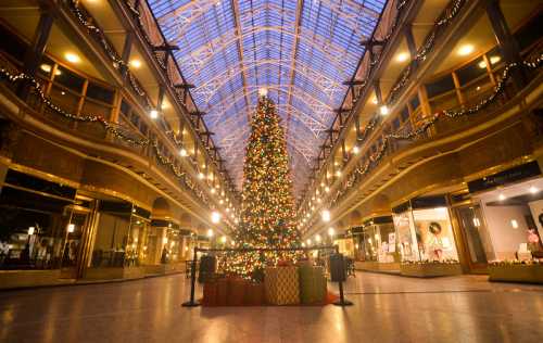 A beautifully decorated indoor space featuring a large Christmas tree and festive lights, with gift boxes underneath.